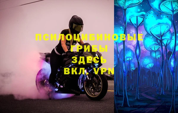 спиды Балахна