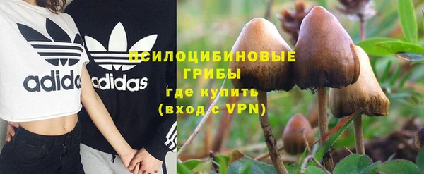 спиды Балахна