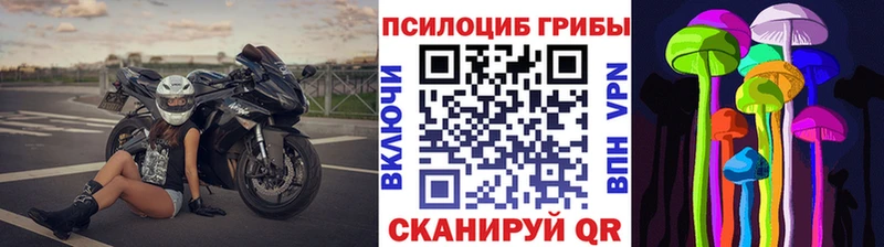 Галлюциногенные грибы GOLDEN TEACHER  Буинск 